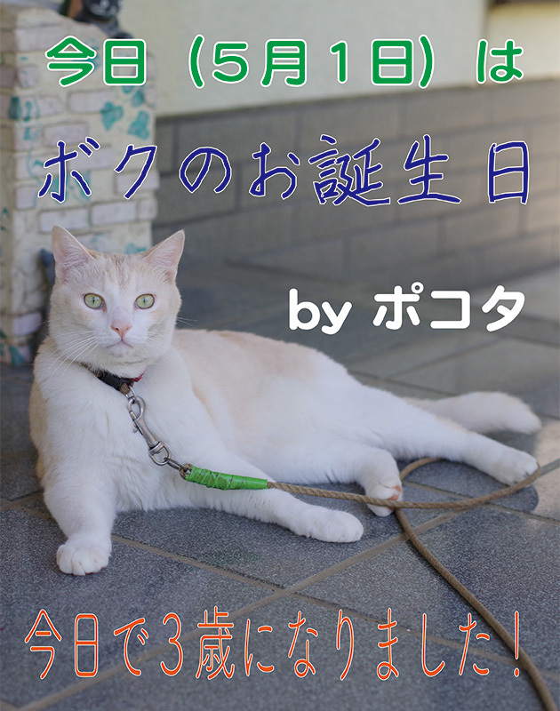 so-net01150.jpg