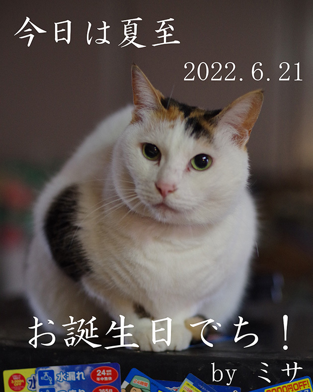 so-net01241.jpg