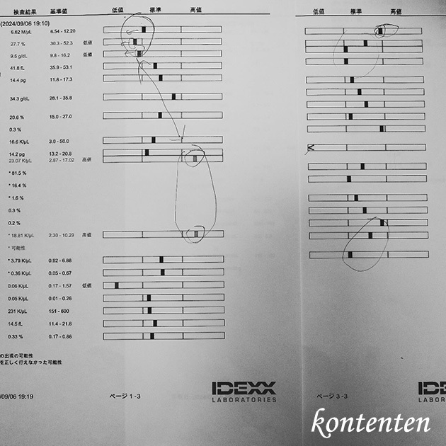 so-net01343.jpg