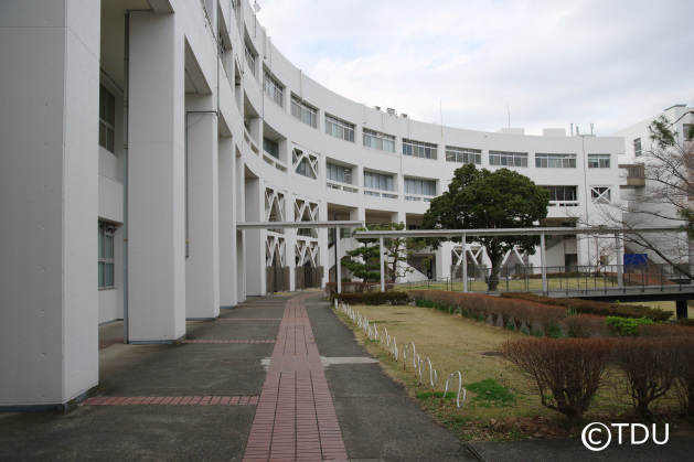 so-net6233908.jpg