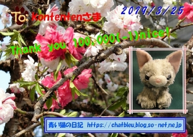 so-net6233911.jpg