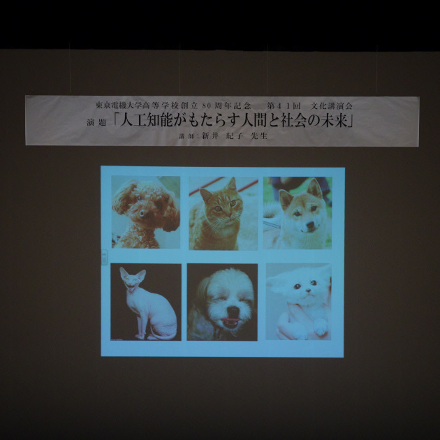 so-net6234450.jpg