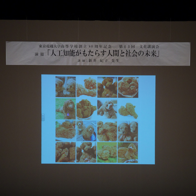 so-net6234451.jpg