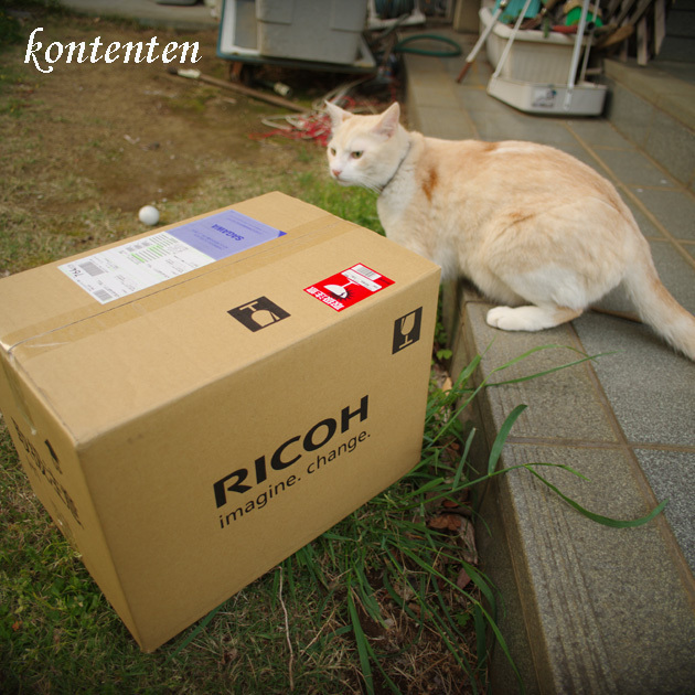 so-net6235040.jpg
