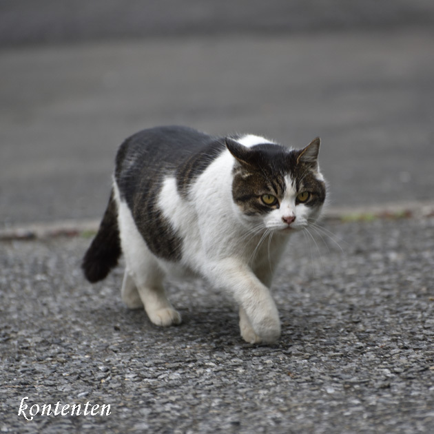 so-net6235126.jpg