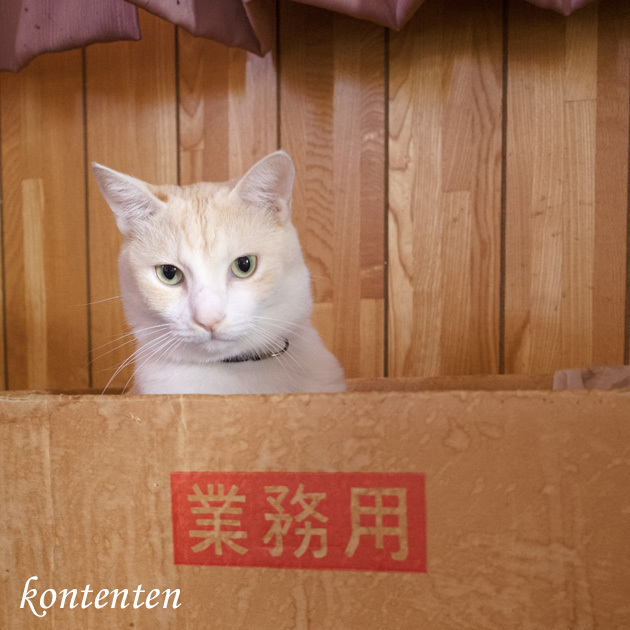 so-net6235890.jpg