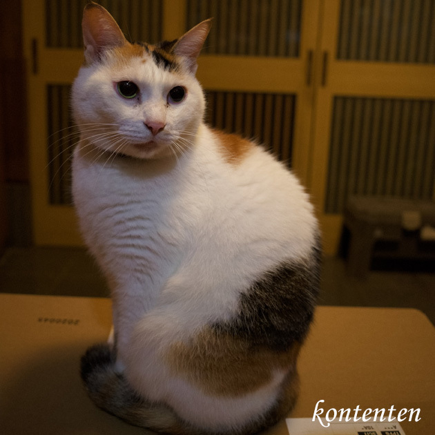 so-net6235903.jpg