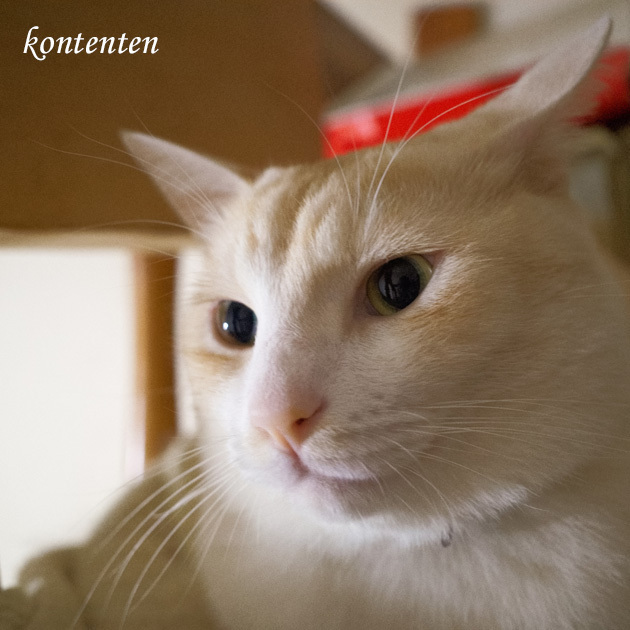 so-net6235924.jpg