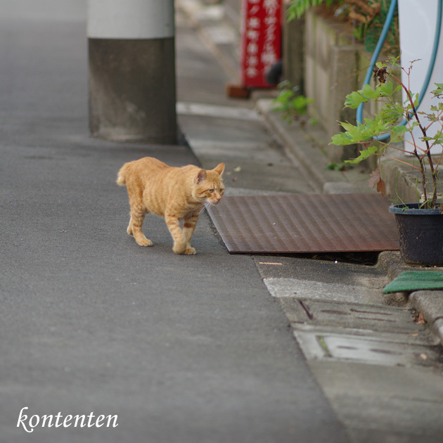 so-net6235939.jpg