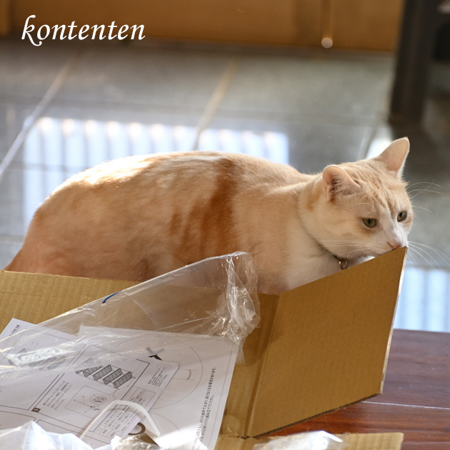 so-net6236065.jpg