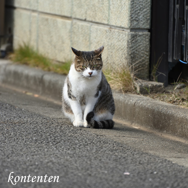 so-net6236072.jpg