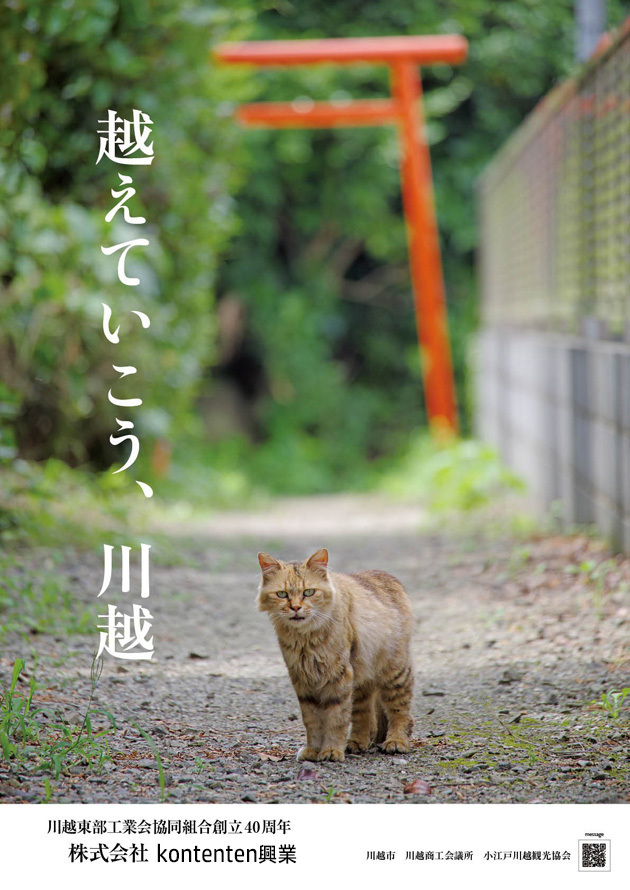 so-net6236160.jpg