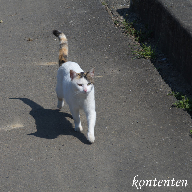 so-net6236426.jpg