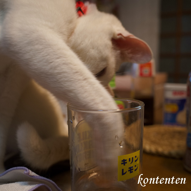 so-net6238264.jpg