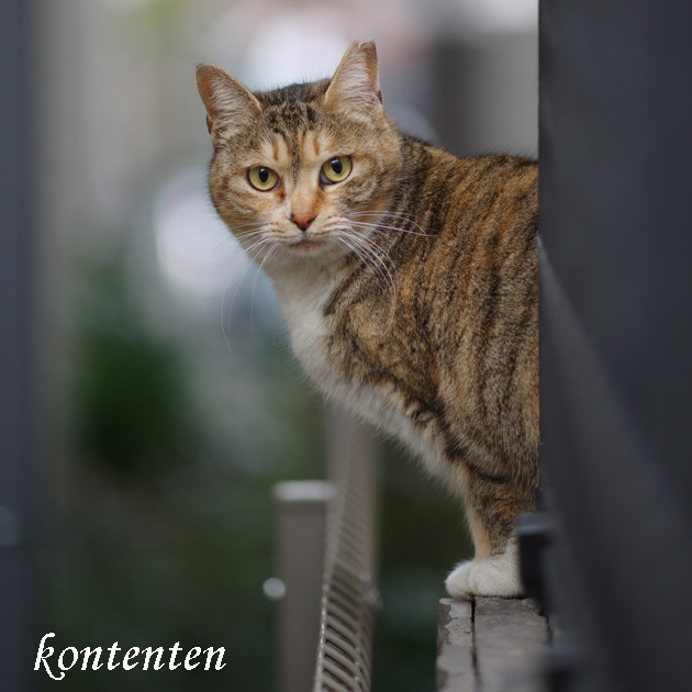 so-net6238374.jpg