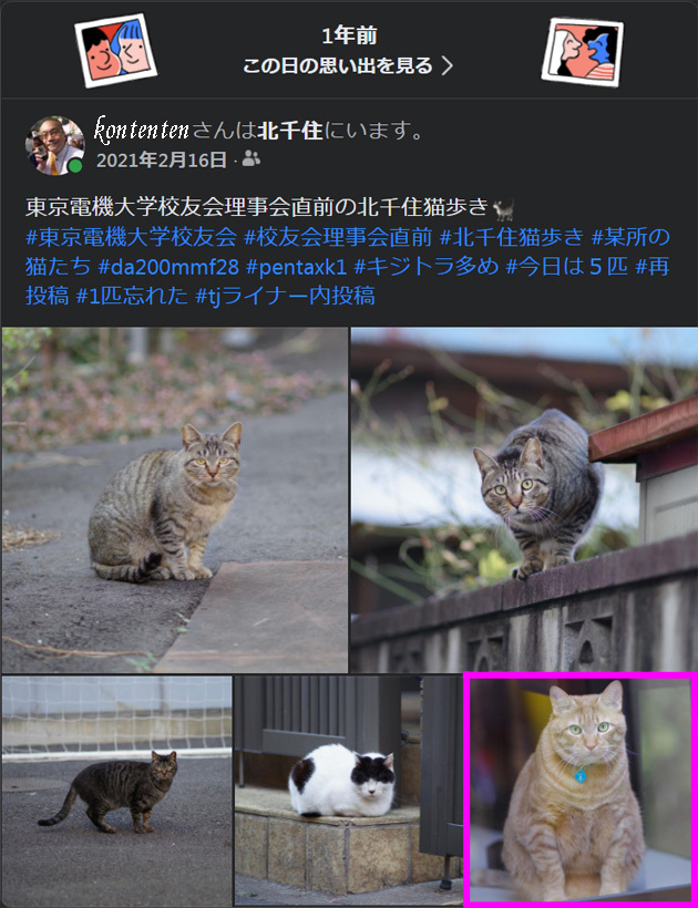 so-net6238377.jpg