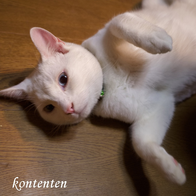 so-net6238767.jpg