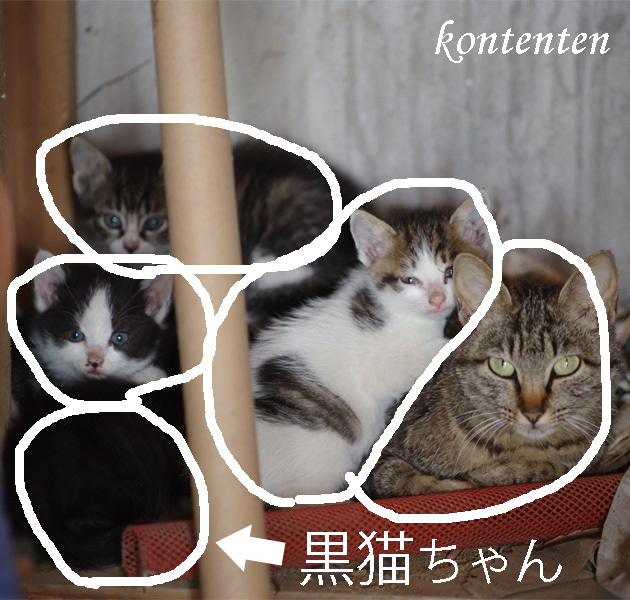 so-net6239031.jpg