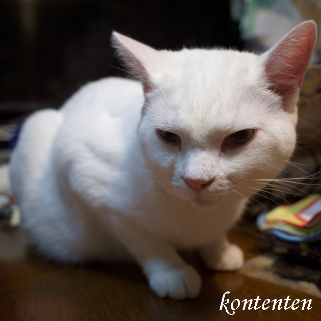 so-net6239046.jpg