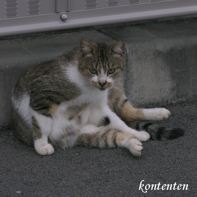 so-net6239700.jpg