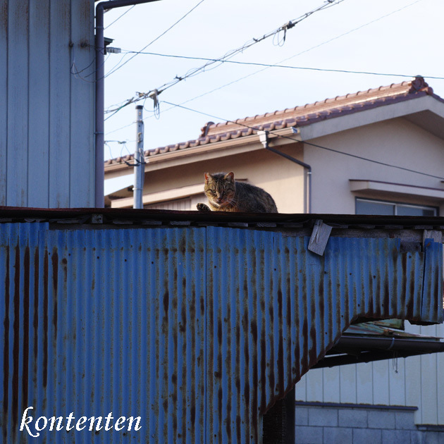 so-net6240000.jpg