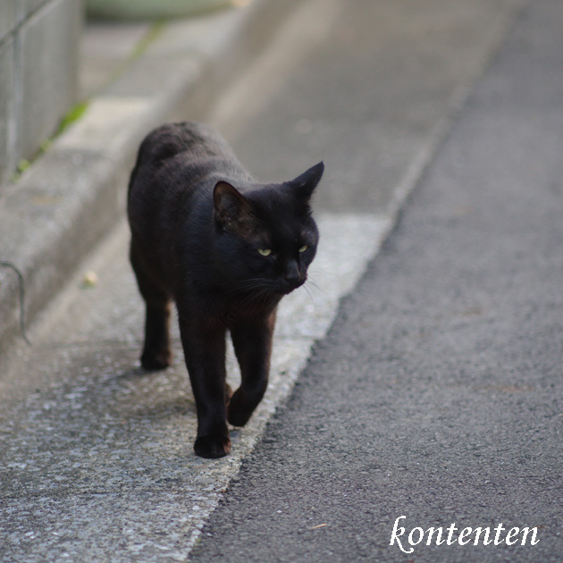so-net6240689.jpg