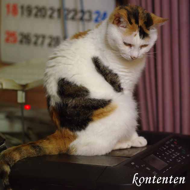 so-net6241031.jpg