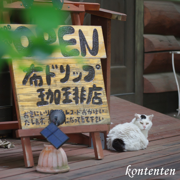 so-net6241040.jpg