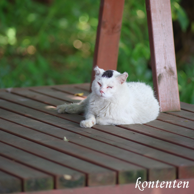 so-net6241250.jpg