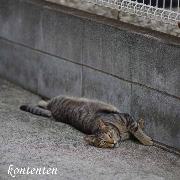 so-net6241258.jpg