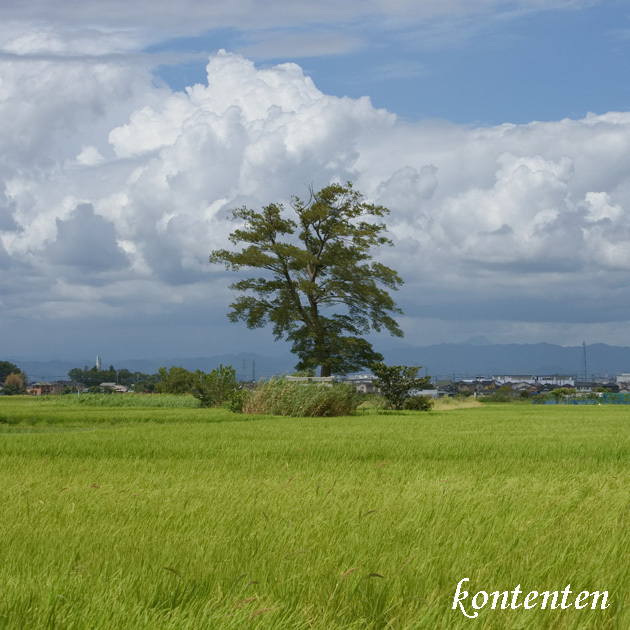 so-net6241336.jpg