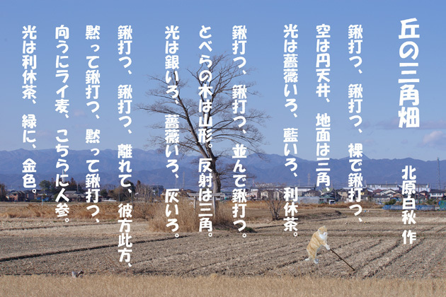so-net6243198.jpg