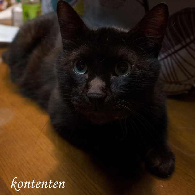 so-net6243402.jpg
