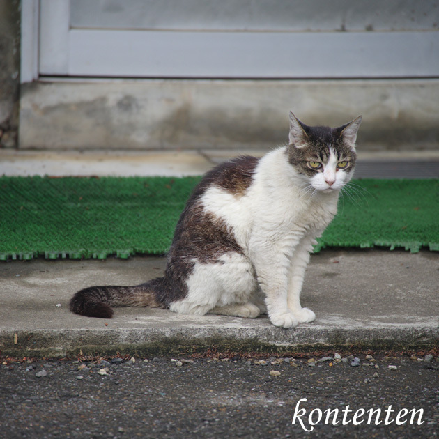 so-net6243458.jpg