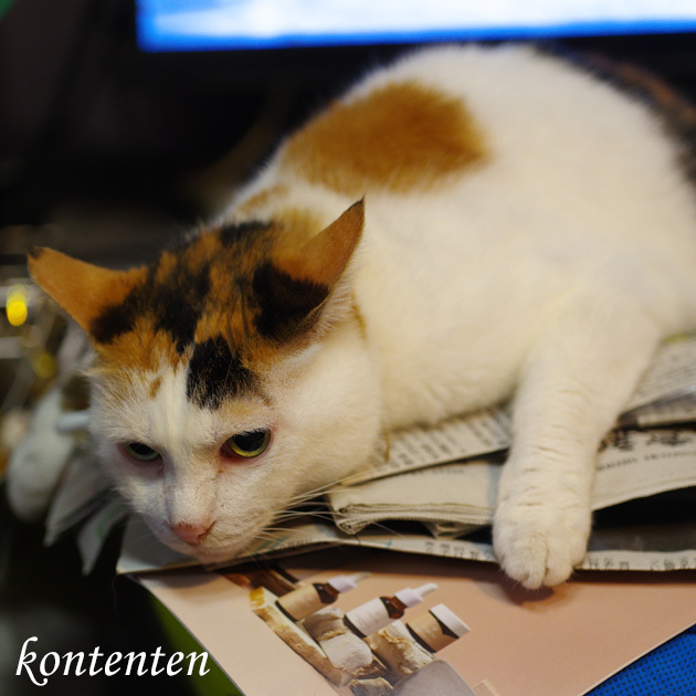 so-net6243487.jpg