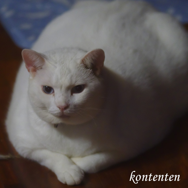 so-net6243601.jpg