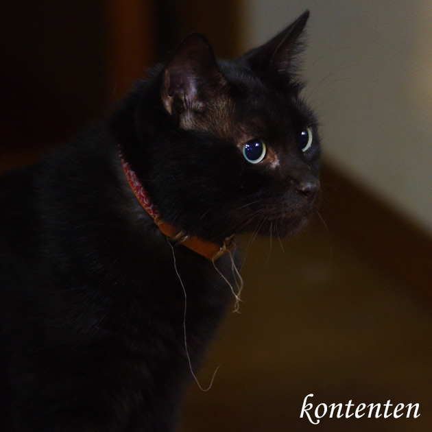 so-net6243621.jpg
