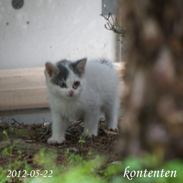 so-net6243631.jpg