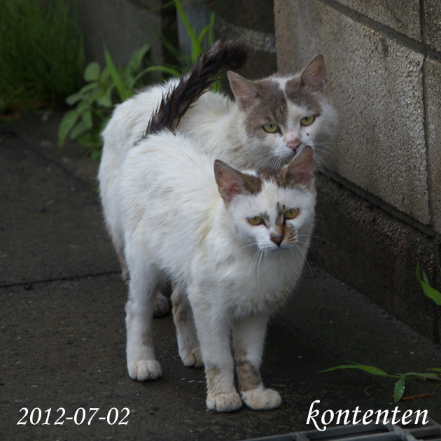 so-net6243632.jpg
