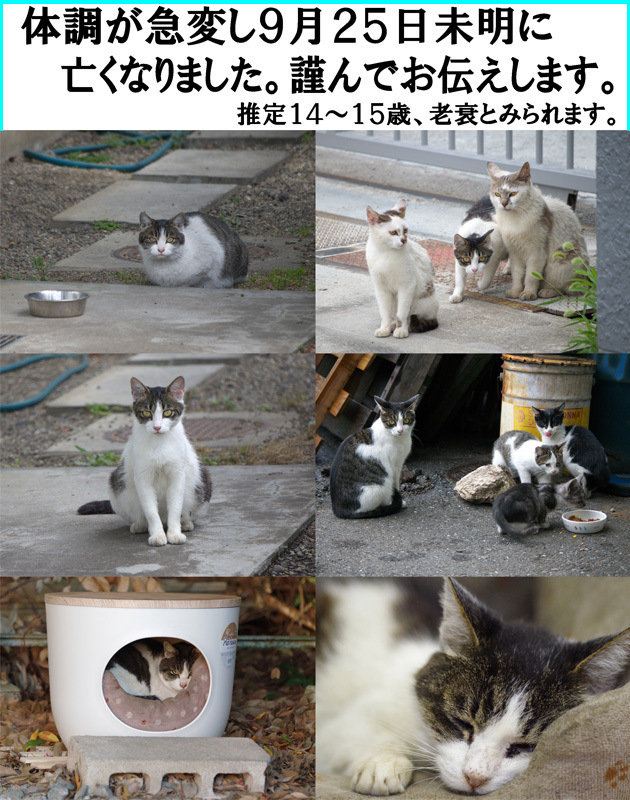 so-net6244029.jpg